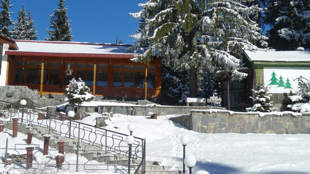 Hotel Elitza Pamporovo Esterno foto